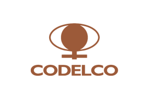 Cliente Acorde Lab